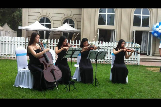 提琴组合表演